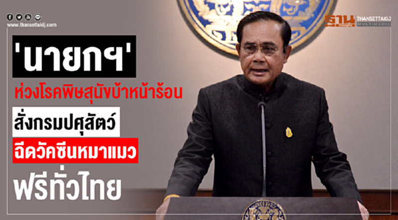 ฉีดวัคซีนหมาแมวฟรีทั่วไทย ฉีดวัคซีนหมาแมวฟรีทั่วไทย