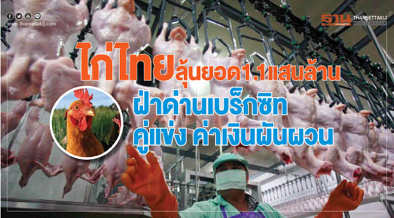 "ไก่ไทย" ลุ้นยอด 1.1 แสนล้าน ฝ่าด่าน "เบร็กซิท-คู่แข่งค่าเงินผันผวน" "ไก่ไทย" ลุ้นยอด 1.1 แสนล้าน ฝ่าด่าน "เบร็กซิท-คู่แข่งค่าเงินผันผวน"