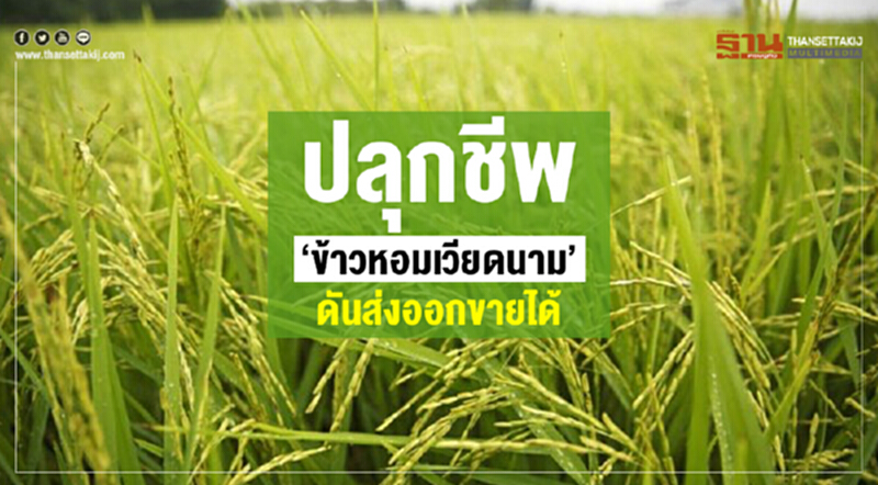 ชาวนายิ้ม!'เจริญ'ไฟเขียวส่งออกได้ ชาวนายิ้ม!'เจริญ'ไฟเขียวส่งออกได้