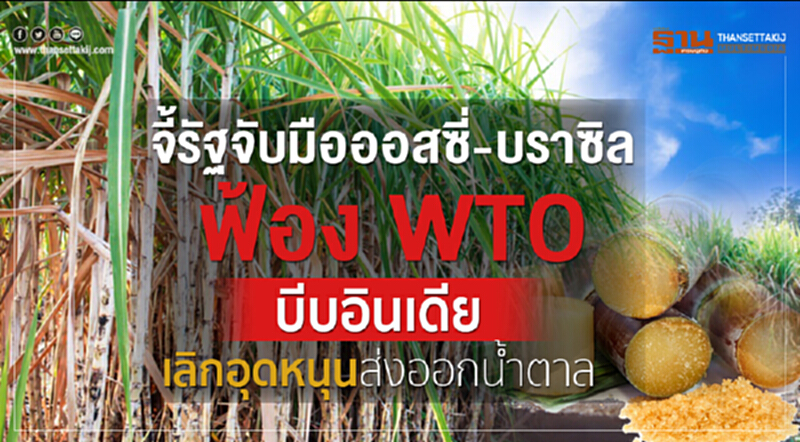 จี้รัฐจับมือออสซี่-บราซิลฟ้องWTO บีบอินเดียเลิกอุดหนุนส่งออกน้ำตาล จี้รัฐจับมือออสซี่-บราซิลฟ้องWTO บีบอินเดียเลิกอุดหนุนส่งออกน้ำตาล