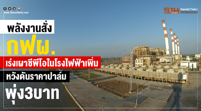 'พลังงาน' สั่ง กฟผ. เร่งเผาซีพีโอในโรงไฟฟ้าเพิ่ม หวังดันราคาปาล์มพุ่ง 3 บาท 'พลังงาน' สั่ง กฟผ. เร่งเผาซีพีโอในโรงไฟฟ้าเพิ่ม หวังดันราคาปาล์มพุ่ง 3 บาท