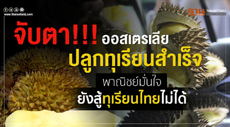 จับตา!!! 'ออสเตรเลีย' ปลูก "ทุเรียน" สำเร็จ 'พาณิชย์' มั่นใจ! ยังสู้ "ทุเรียนไทย" ไม่ได้ จับตา!!! 'ออสเตรเลีย' ปลูก "ทุเรียน" สำเร็จ 'พาณิชย์' มั่นใจ! ยังสู้ "ทุเรียนไทย" ไม่ได้