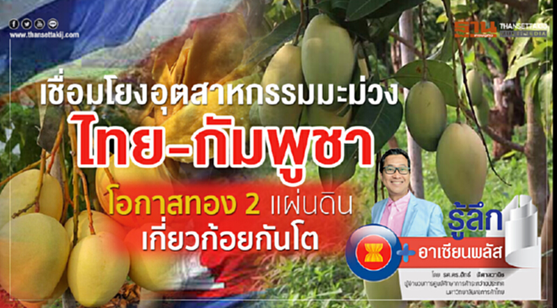 รู้ลึกอาเซียนพลัส | เชื่อมโยงอุตสาหกรรมมะม่วง "ไทย-กัมพูชา" โอกาสทอง 2 แผ่นดิน เกี่ยวก้อยกันโต รู้ลึกอาเซียนพลัส | เชื่อมโยงอุตสาหกรรมมะม่วง "ไทย-กัมพูชา" โอกาสทอง 2 แผ่นดิน เกี่ยวก้อยกันโต