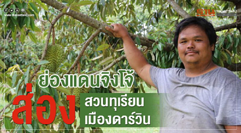 ย่องแดนจิงโจ้ ส่องสวนทุเรียนเมืองดาร์วิน ย่องแดนจิงโจ้ ส่องสวนทุเรียนเมืองดาร์วิน