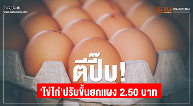 ตีปี๊บ! “ไข่ไก่”ปรับขึ้นยกแผง 2.50 บาท ตีปี๊บ! “ไข่ไก่”ปรับขึ้นยกแผง 2.50 บาท