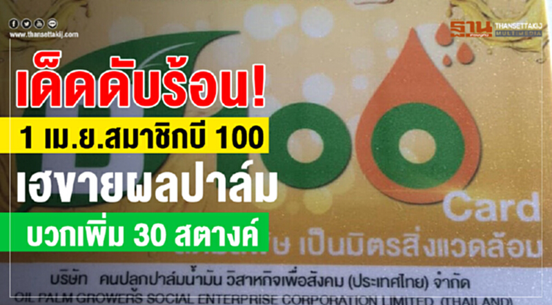 เด็ดดับร้อน! "1 เม.ย."สมาชิกบี 100 เฮขายผลปาล์มบวกเพิ่ม 30 สตางค์ เด็ดดับร้อน! "1 เม.ย."สมาชิกบี 100 เฮขายผลปาล์มบวกเพิ่ม 30 สตางค์