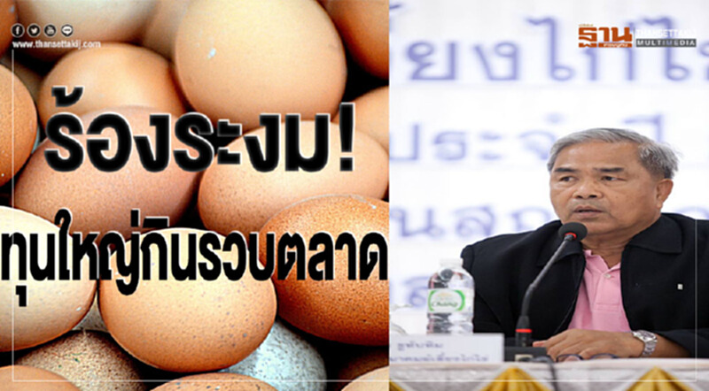 ร้องระงม!ทุนใหญ่กินรวบตลาด “ไข่ไก่” ร้องระงม!ทุนใหญ่กินรวบตลาด “ไข่ไก่”