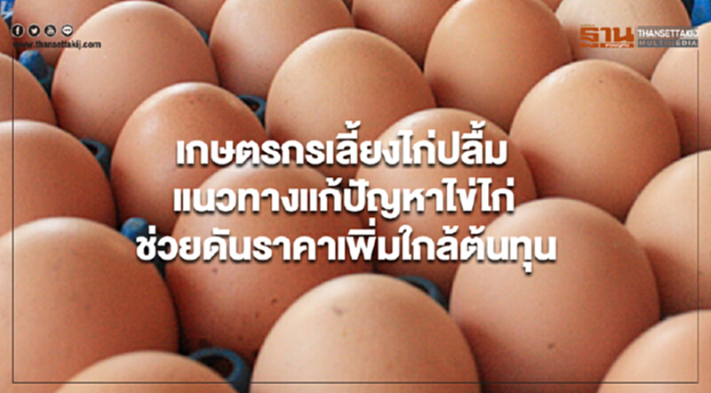 เกษตรกรเลี้ยงไก่ปลื้มแนวทางแก้ปัญหาไข่ไก่ ช่วยดันราคาเพิ่มใกล้ต้นทุน เกษตรกรเลี้ยงไก่ปลื้มแนวทางแก้ปัญหาไข่ไก่ ช่วยดันราคาเพิ่มใกล้ต้นทุน