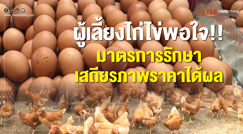 ผู้เลี้ยงไก่ไข่พอใจ!! มาตรการรักษาเสถียรภาพราคาได้ผล ผู้เลี้ยงไก่ไข่พอใจ!! มาตรการรักษาเสถียรภาพราคาได้ผล