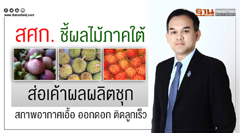 สศก. ชี้! ผลไม้ภาคใต้ส่อเค้าผลผลิตชุก สภาพอากาศเอื้อ ออกดอก ติดลูกเร็ว สศก. ชี้! ผลไม้ภาคใต้ส่อเค้าผลผลิตชุก สภาพอากาศเอื้อ ออกดอก ติดลูกเร็ว