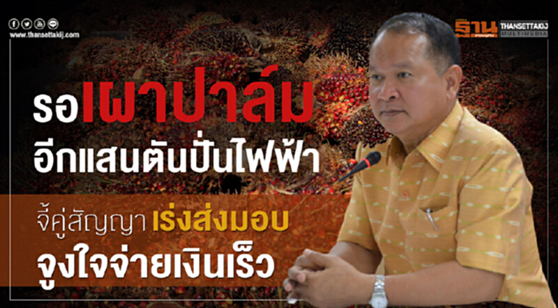 รอเผา "ปาล์ม" อีกแสนตันปั่นไฟฟ้า! จี้คู่สัญญาเร่งส่งมอบ-จูงใจจ่ายเงินเร็ว รอเผา "ปาล์ม" อีกแสนตันปั่นไฟฟ้า! จี้คู่สัญญาเร่งส่งมอบ-จูงใจจ่ายเงินเร็ว