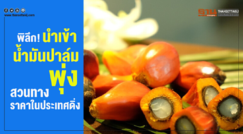 พิลึก! นำเข้า "นํ้ามันปาล์ม" พุ่ง สวนทางราคาในประเทศดิ่ง พิลึก! นำเข้า "นํ้ามันปาล์ม" พุ่ง สวนทางราคาในประเทศดิ่ง