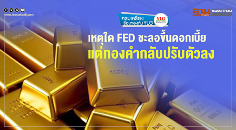 ครบเครื่องเรื่องทองกับ YLG | เหตุใด FED ชะลอขึ้นดอกเบี้ย แต่ "ทองคำ" กลับปรับตัวลง ครบเครื่องเรื่องทองกับ YLG | เหตุใด FED ชะลอขึ้นดอกเบี้ย แต่ "ทองคำ" กลับปรับตัวลง