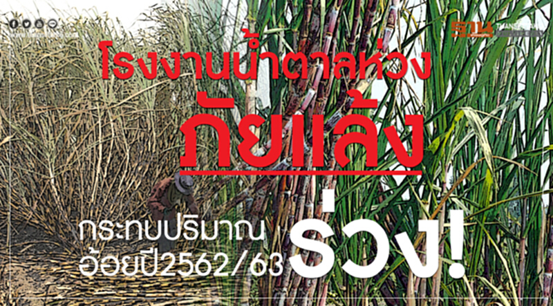 "โรงงานน้ำตาล" ห่วงภัยแล้ง กระทบปริมาณอ้อย ปี 2562/63 ร่วง! "โรงงานน้ำตาล" ห่วงภัยแล้ง กระทบปริมาณอ้อย ปี 2562/63 ร่วง!