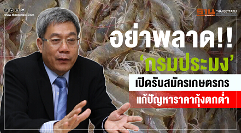 อย่าพลาด!! "กรมประมง" เปิดรับสมัครเกษตรกรแก้ปัญหาราคากุ้งตกต่ำ อย่าพลาด!! "กรมประมง" เปิดรับสมัครเกษตรกรแก้ปัญหาราคากุ้งตกต่ำ