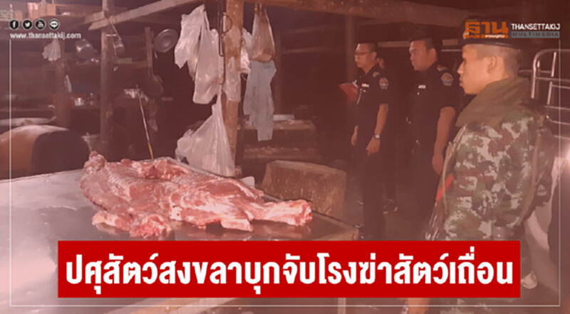 ปศุสัตว์สงขลาบุกจับ "โรงฆ่าสัตว์เถื่อน" ปศุสัตว์สงขลาบุกจับ "โรงฆ่าสัตว์เถื่อน"