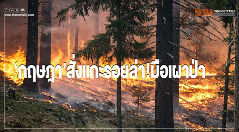 “กฤษฎา”สั่งแกะรอยล่า!มือเผาป่า “กฤษฎา”สั่งแกะรอยล่า!มือเผาป่า