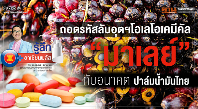 ถอดรหัสลับ! อุตฯโอเลโอเคมีคัล "มาเลย์" กับอนาคตปาล์มน้ำมันไทย ถอดรหัสลับ! อุตฯโอเลโอเคมีคัล "มาเลย์" กับอนาคตปาล์มน้ำมันไทย