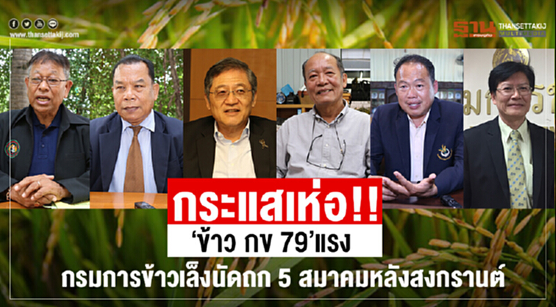 กระแสเห่อ!!‘ข้าว กข 79’แรง กรมการข้าวเล็งนัดถก 5 สมาคมหลังสงกรานต์ กระแสเห่อ!!‘ข้าว กข 79’แรง กรมการข้าวเล็งนัดถก 5 สมาคมหลังสงกรานต์
