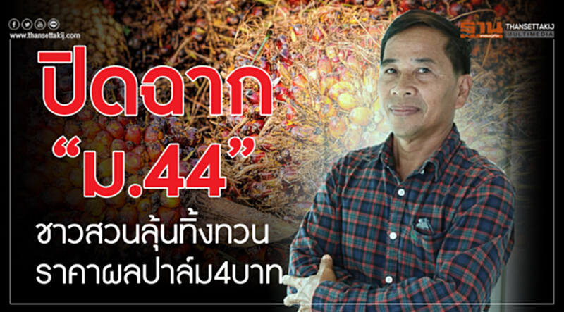 ปิดฉาก "ม.44" ชาวสวนลุ้น! ทิ้งทวนราคาผลปาล์ม 4 บาท ปิดฉาก "ม.44" ชาวสวนลุ้น! ทิ้งทวนราคาผลปาล์ม 4 บาท