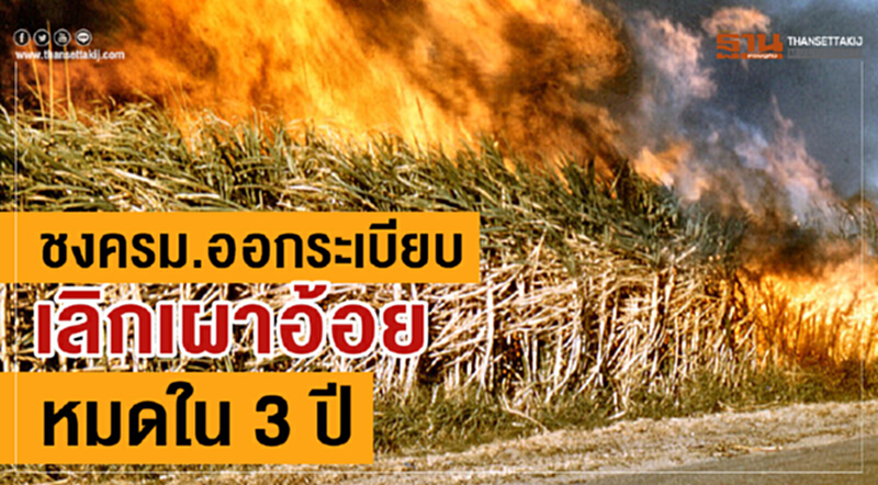ชง ครม. ออกระเบียบ "เลิกเผาอ้อย" หมดใน 3 ปี ชง ครม. ออกระเบียบ "เลิกเผาอ้อย" หมดใน 3 ปี