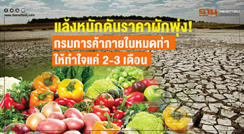 แล้งหนักดัน "ราคาผัก" พุ่ง! กรมการค้าภายในหมดท่า-ให้ทำใจแค่ 2-3 เดือน แล้งหนักดัน "ราคาผัก" พุ่ง! กรมการค้าภายในหมดท่า-ให้ทำใจแค่ 2-3 เดือน