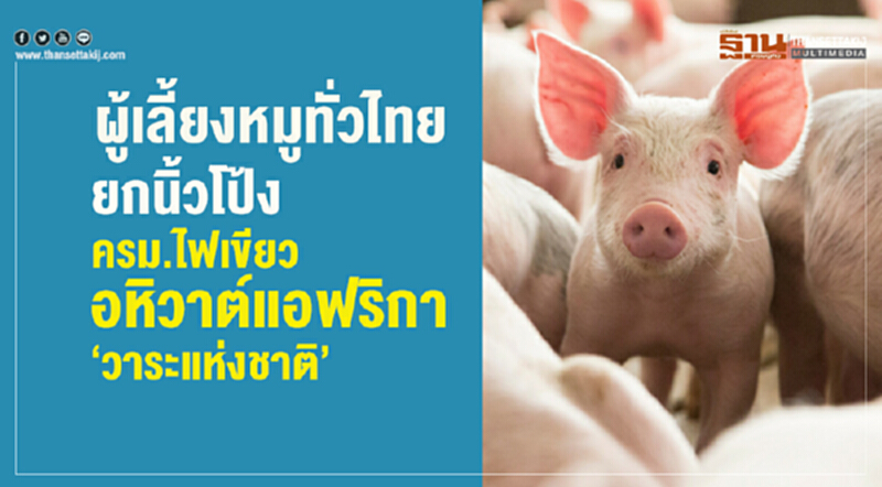 "ผู้เลี้ยงหมู" ทั่วไทยยกนิ้วโป้ง! อหิวาต์แอฟริกา "วาระแห่งชาติ" "ผู้เลี้ยงหมู" ทั่วไทยยกนิ้วโป้ง! อหิวาต์แอฟริกา "วาระแห่งชาติ"