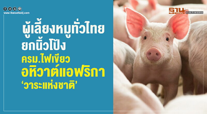"ผู้เลี้ยงหมู" ทั่วไทยยกนิ้วโป้ง! อหิวาต์แอฟริกา "วาระแห่งชาติ"