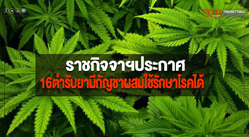 ราชกิจจาฯประกาศ16ตำรับยามีกัญชาผสมใช้รักษาโรคได้