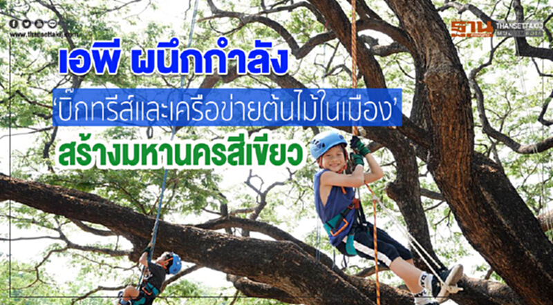 เอพี ผนึกกำลัง ‘บิ๊กทรีส์และเครือข่ายต้นไม้ในเมือง’ สร้างมหานครสีเขียว เอพี ผนึกกำลัง ‘บิ๊กทรีส์และเครือข่ายต้นไม้ในเมือง’ สร้างมหานครสีเขียว