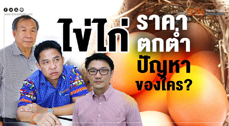 ไข่ไก่ราคา"ตกต่ำ"ปัญหาของใคร?