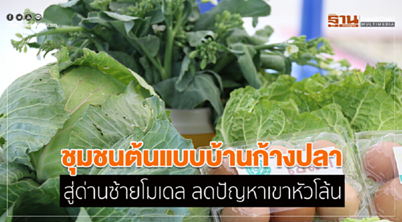 ชุมชนต้นแบบบ้านก้างปลา สู่ด่านซ้ายโมเดล ลดปัญหาเขาหัวโล้น ชุมชนต้นแบบบ้านก้างปลา สู่ด่านซ้ายโมเดล ลดปัญหาเขาหัวโล้น