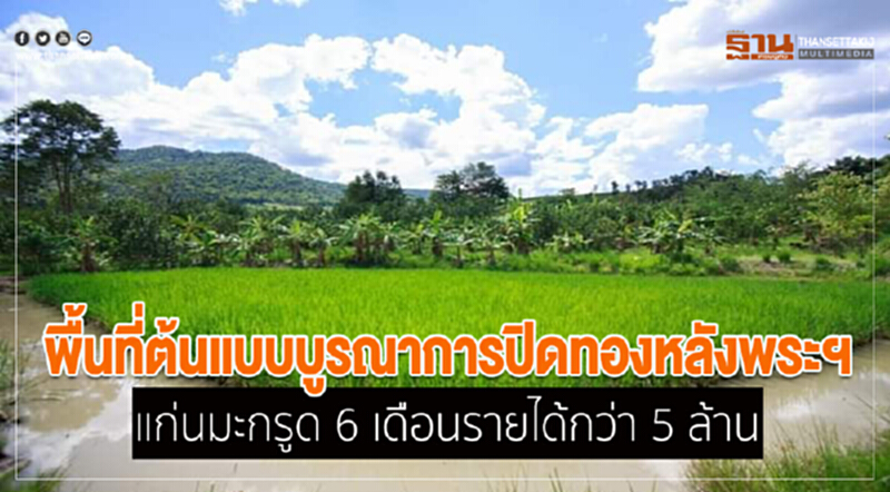 พื้นที่ต้นแบบบูรณาการปิดทองหลังพระฯ "แก่นมะกรูด" 6 เดือน รายได้กว่า 5 ล้าน พื้นที่ต้นแบบบูรณาการปิดทองหลังพระฯ "แก่นมะกรูด" 6 เดือน รายได้กว่า 5 ล้าน