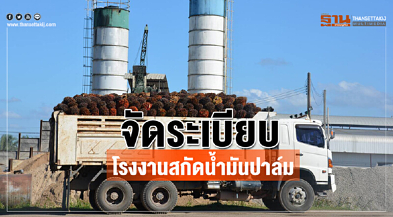 จัดระเบียบโรงงานสกัดน้ำมันปาล์ม จัดระเบียบโรงงานสกัดน้ำมันปาล์ม