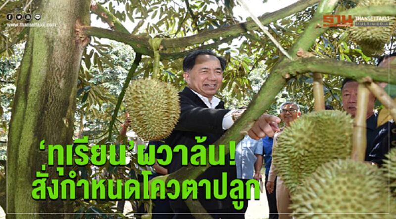 ‘ทุเรียน’ผวาล้น! สั่งกำหนดโควตาปลูก ‘ทุเรียน’ผวาล้น! สั่งกำหนดโควตาปลูก