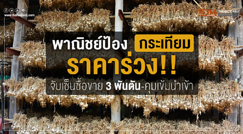 พาณิชย์ป้องกระเทียมราคาร่วง! จับเซ็นซื้อขาย 3พันตัน-คุมเข้มนำเข้า พาณิชย์ป้องกระเทียมราคาร่วง! จับเซ็นซื้อขาย 3พันตัน-คุมเข้มนำเข้า