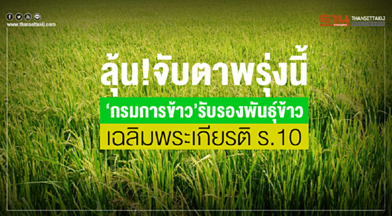 ลุ้น! จับตาพรุ่งนี้“กรมการข้าว”รับรองพันธุ์ข้าวเฉลิมพระเกียรติ ร.10 ลุ้น! จับตาพรุ่งนี้“กรมการข้าว”รับรองพันธุ์ข้าวเฉลิมพระเกียรติ ร.10