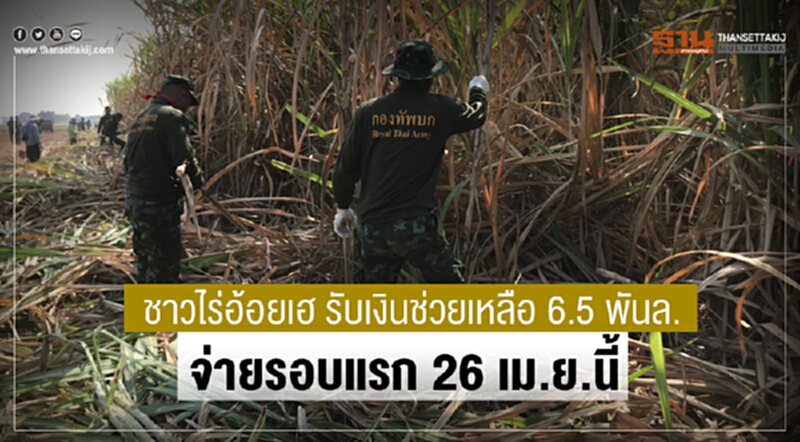 ชาวไร่อ้อยเฮ รับเงินช่วยเหลือ 6.5 พันล.จ่ายรอบแรก 26 เม.ย.นนี้ ชาวไร่อ้อยเฮ รับเงินช่วยเหลือ 6.5 พันล.จ่ายรอบแรก 26 เม.ย.นนี้