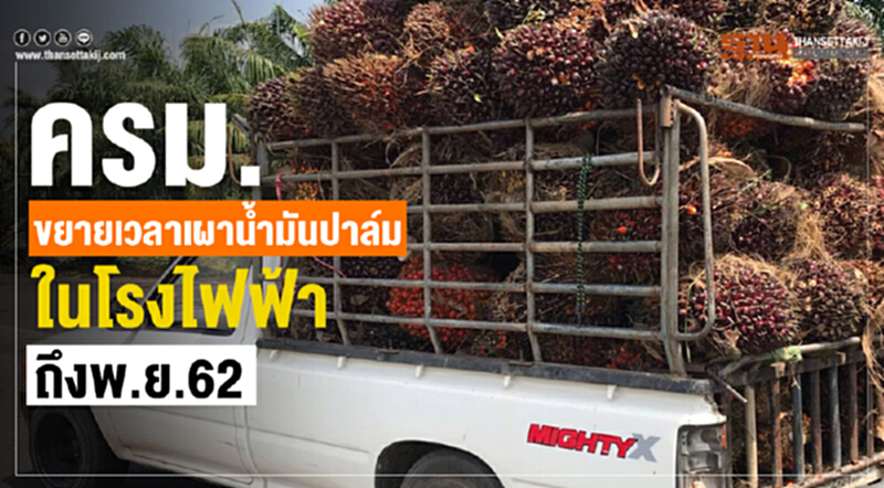 ครม.ขยายเวลาเผาน้ำมันปาล์มในโรงไฟฟ้า ถึงพ.ย.62 ครม.ขยายเวลาเผาน้ำมันปาล์มในโรงไฟฟ้า ถึงพ.ย.62