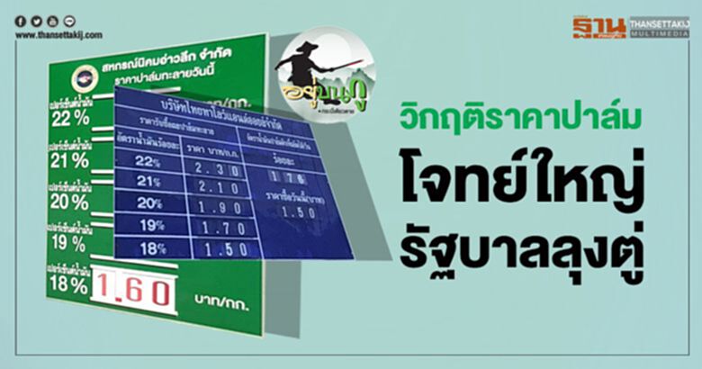วิกฤติราคาปาล์ม โจทย์ใหญ่รัฐบาลลุงตู่ วิกฤติราคาปาล์ม โจทย์ใหญ่รัฐบาลลุงตู่