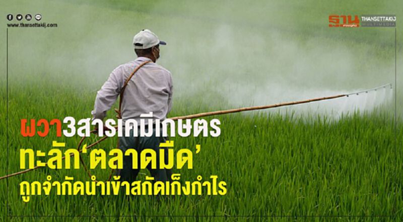 ผวา 3 สารเคมีเกษตรทะลัก‘ตลาดมืด’ถูกจำกัดนำเข้าสกัดเก็งกำไร ผวา 3 สารเคมีเกษตรทะลัก‘ตลาดมืด’ถูกจำกัดนำเข้าสกัดเก็งกำไร