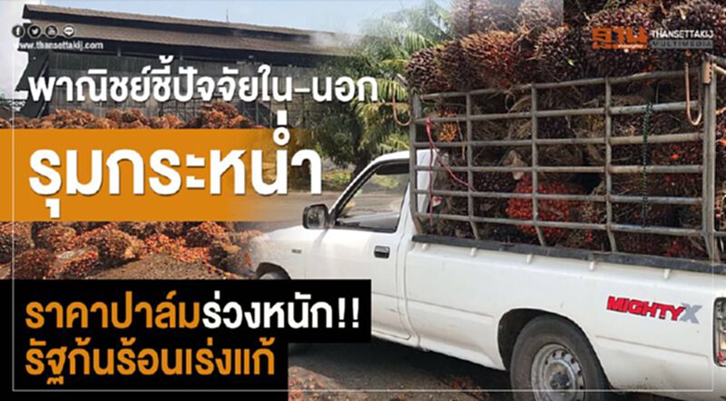 พาณิชย์ชี้ปัจจัยใน-นอกรุมกระหน่ำ ราคาปาล์มร่วงหนัก!! รัฐก้นร้อนเร่งแก้ พาณิชย์ชี้ปัจจัยใน-นอกรุมกระหน่ำ ราคาปาล์มร่วงหนัก!! รัฐก้นร้อนเร่งแก้