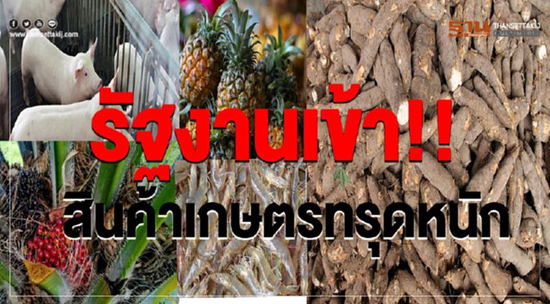 รัฐงานเข้า!! สินค้าเกษตรทรุดหนัก รัฐงานเข้า!! สินค้าเกษตรทรุดหนัก