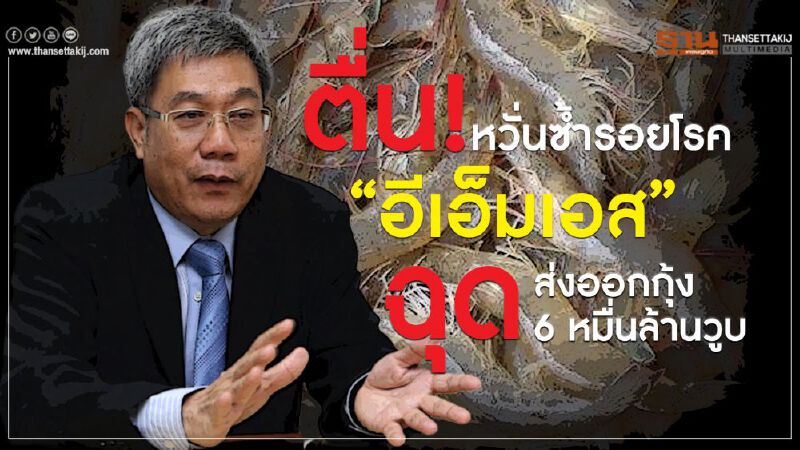 ตื่น!หวั่นซ้ำรอยโรค“อีเอ็มเอส” ฉุดส่งออกกุ้ง 6 หมื่นล้านวูบ