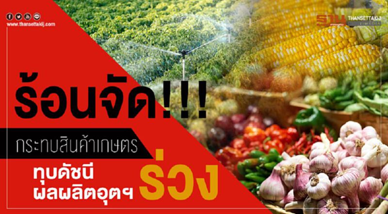 ร้อนจัด!!!กระทบสินค้าเกษตรทุบดัชนีผลผลิตอุตฯร่วง ร้อนจัด!!!กระทบสินค้าเกษตรทุบดัชนีผลผลิตอุตฯร่วง