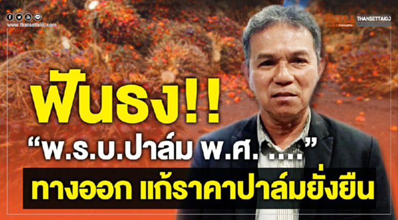 ฟันธง!! “พ.ร.บ.ปาล์ม พ.ศ. ....”ทางออกแก้ราคาปาล์มยั่งยืน ฟันธง!! “พ.ร.บ.ปาล์ม พ.ศ. ....”ทางออกแก้ราคาปาล์มยั่งยืน