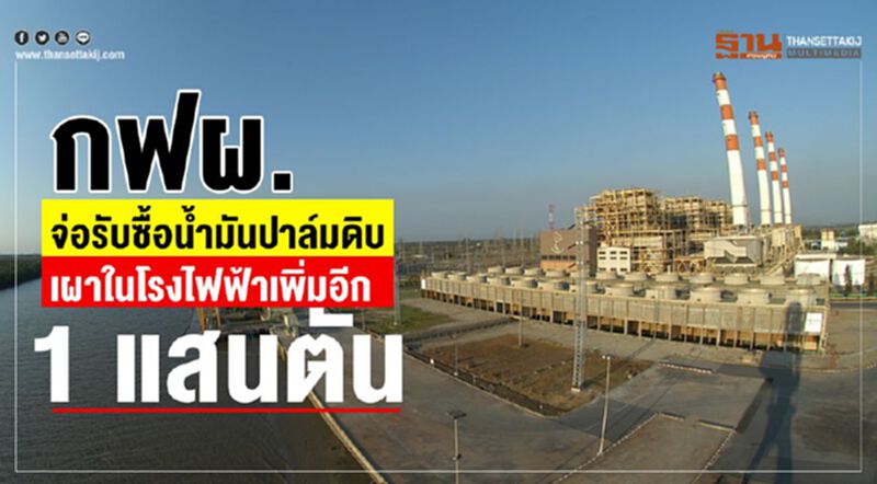 กฟผ. จ่อรับซื้อน้ำมันปาล์มดิบ เผาในโรงไฟฟ้าเพิ่มอีก 1 แสนตัน กฟผ. จ่อรับซื้อน้ำมันปาล์มดิบ เผาในโรงไฟฟ้าเพิ่มอีก 1 แสนตัน