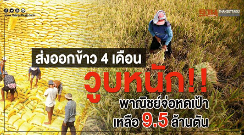 ส่งออกข้าว 4 เดือนวูบหนัก!! พาณิชย์จ่อหดเป้าเหลือ 9.5 ล้านตัน ส่งออกข้าว 4 เดือนวูบหนัก!! พาณิชย์จ่อหดเป้าเหลือ 9.5 ล้านตัน