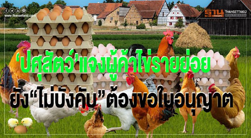 ปศุสัตว์แจงผู้ค้าไข่รายย่อย ยังไม่บังคับต้องขอใบอนุญาต ปศุสัตว์แจงผู้ค้าไข่รายย่อย ยังไม่บังคับต้องขอใบอนุญาต