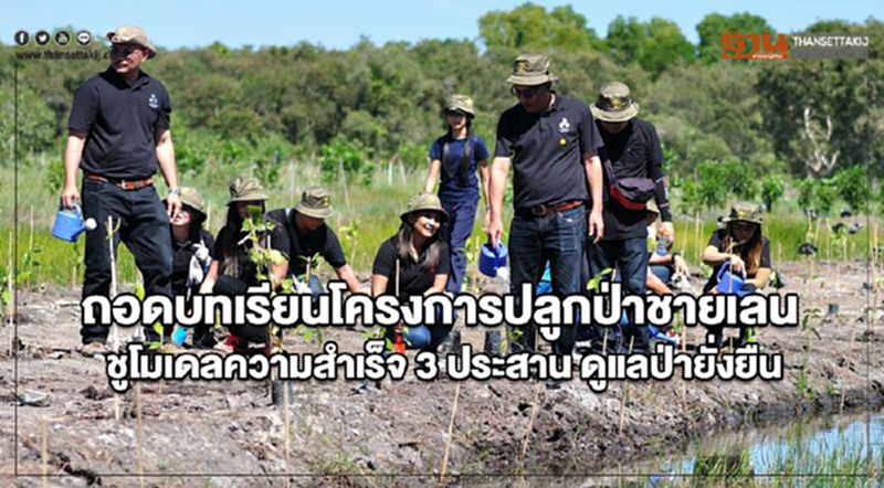 ถอดบทเรียนโครงการปลูกป่าชายเลน ชูโมเดลความสำเร็จ 3 ประสาน ดูแลป่ายั่งยืน ถอดบทเรียนโครงการปลูกป่าชายเลน ชูโมเดลความสำเร็จ 3 ประสาน ดูแลป่ายั่งยืน